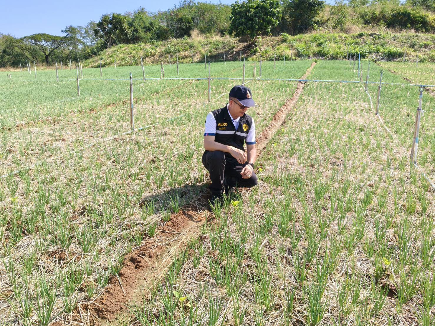 title - ผู้ตรวจราชการ ส.ป.ก. ลงพื้นที่ตรวจเยี่ยมและให้กำลังใจกลุ่มเกษตรกรในเขตปฏิรูปที่ดินอำเภอมวกเหล็ก จังหวัดสระบุรี และประชุมตรวจติดตามความก้าวหน้าผลการดำเนินงานตามแผนการตรวจราชการ ประจำปีงบประมาณ พ.ศ. 2569 รอบที่ 1 เขตตรวจราชการที่ 1 จังหวัดสระบุรี 